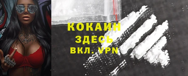 индика Навашино