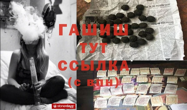прущие грибы Беломорск