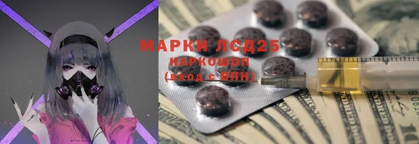 прущие грибы Беломорск