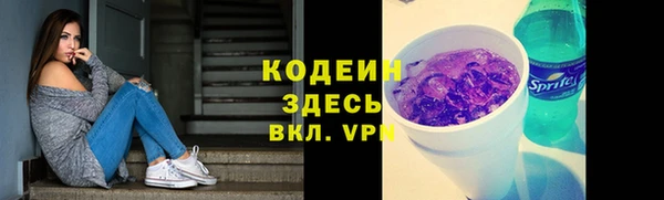 прущие грибы Надым