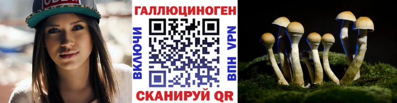 Псилоцибиновые грибы MAGIC MUSHROOMS  Купить  Красновишерск 